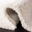 Solid Colour Machine Woven Polypropylene Area Rug in Cream-1747603776