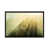 Black Framed is unavailable
