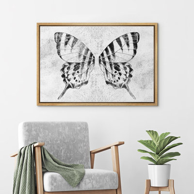 Animals Gray Monochrome Butterfly Animal Pictures Black White Neutral Large Wrapped Canvas Print Wall Art