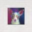 «Chihuahua - Brady» par Dawg Poire