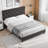 Iokua Upholstered Platform Bed-2133166032