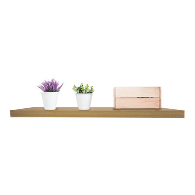 Plastic / Acrylic Floating Shelf