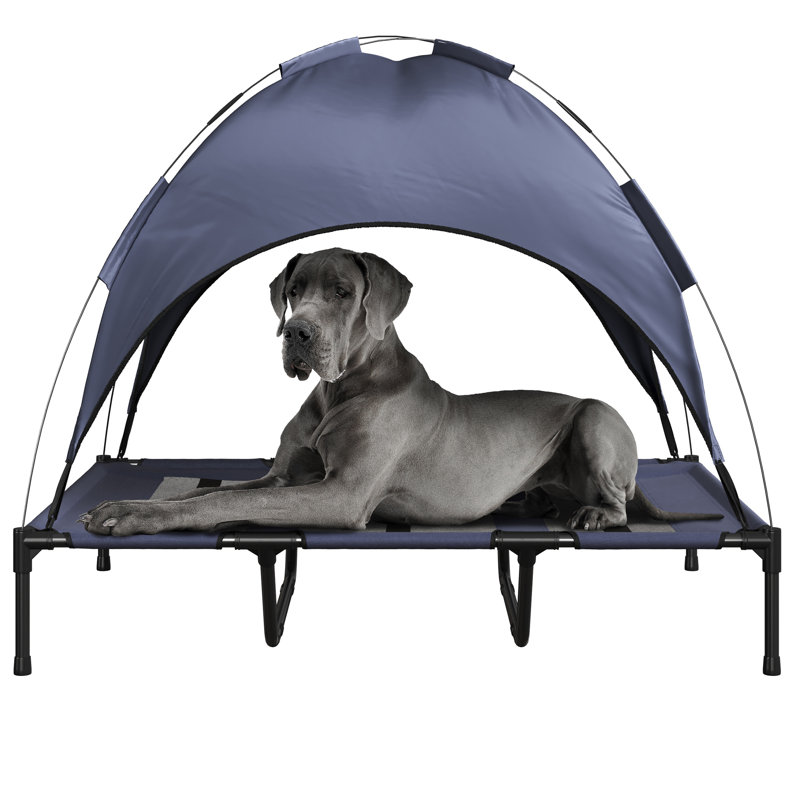 Lit pour chien surélevé 36 po x 30 po PETMAker, bleu, H 41,3 po x l 36 po x P 48 po