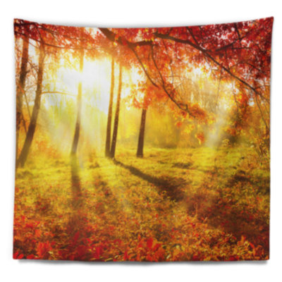 Photographie de paysage autumnal park tapestry