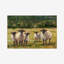 Babsy Sheep Family I - Painting-1599153924-1599097661