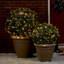 Failsworth 2050cm LED Battery Powered 200 - Bulb Fairy String Light-890037969