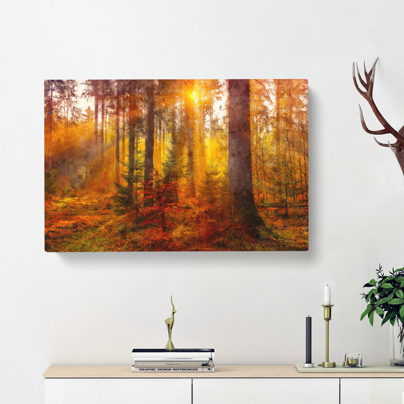 Mystery Forest - Wrapped Canvas Print, 45cm H x 76cm W x 4cm D