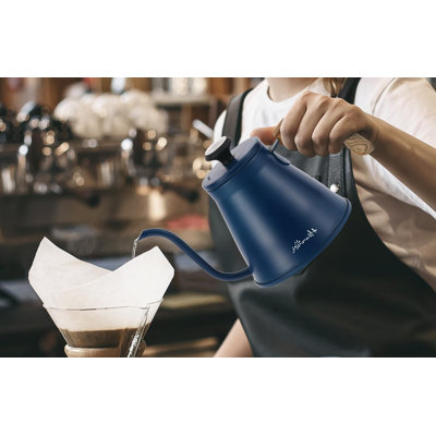Bazwe Gooseneck Kettle