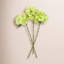 Hydrangea Floral Stem (Set of 3)-1695142972