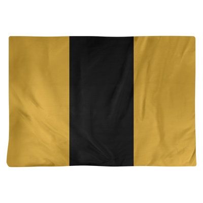 Récapitulatif 18" à rayures de football Jacksonville