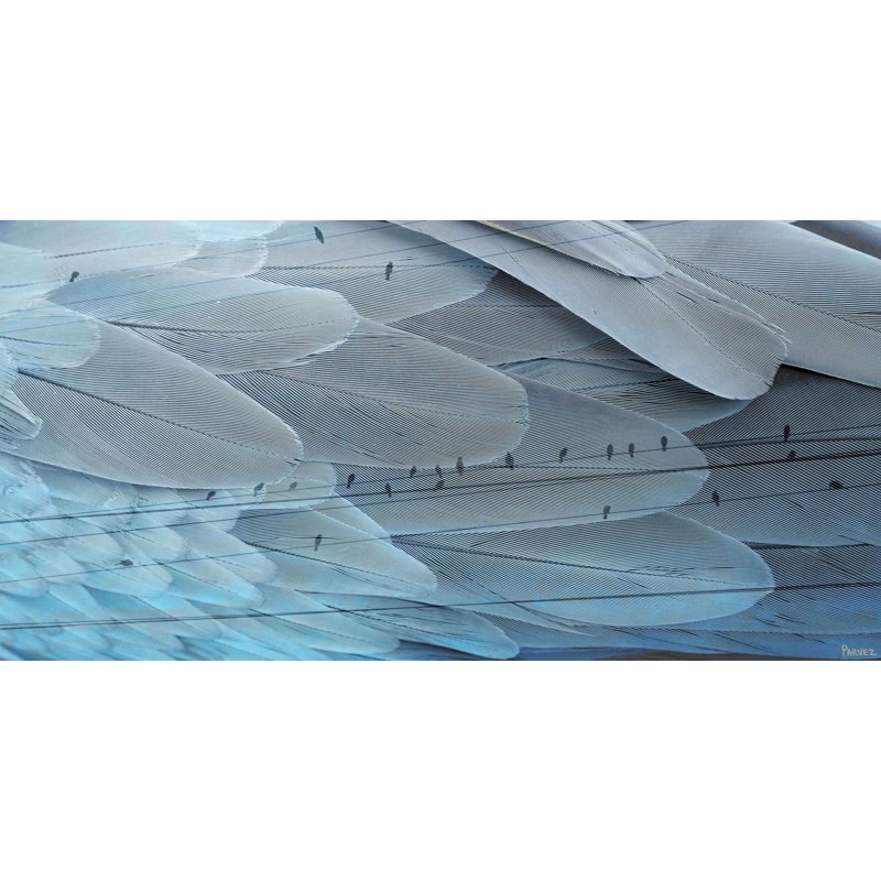 1 Piece Wrapped Canvas Wall Art, 57cm H x 114cm W