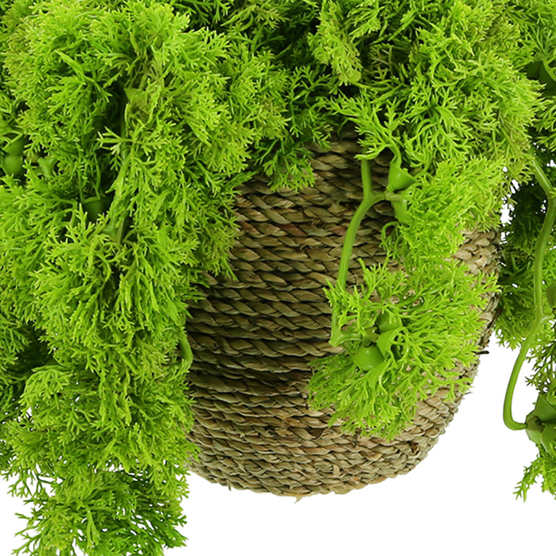 Norwood Faux Moss Plant in Pot