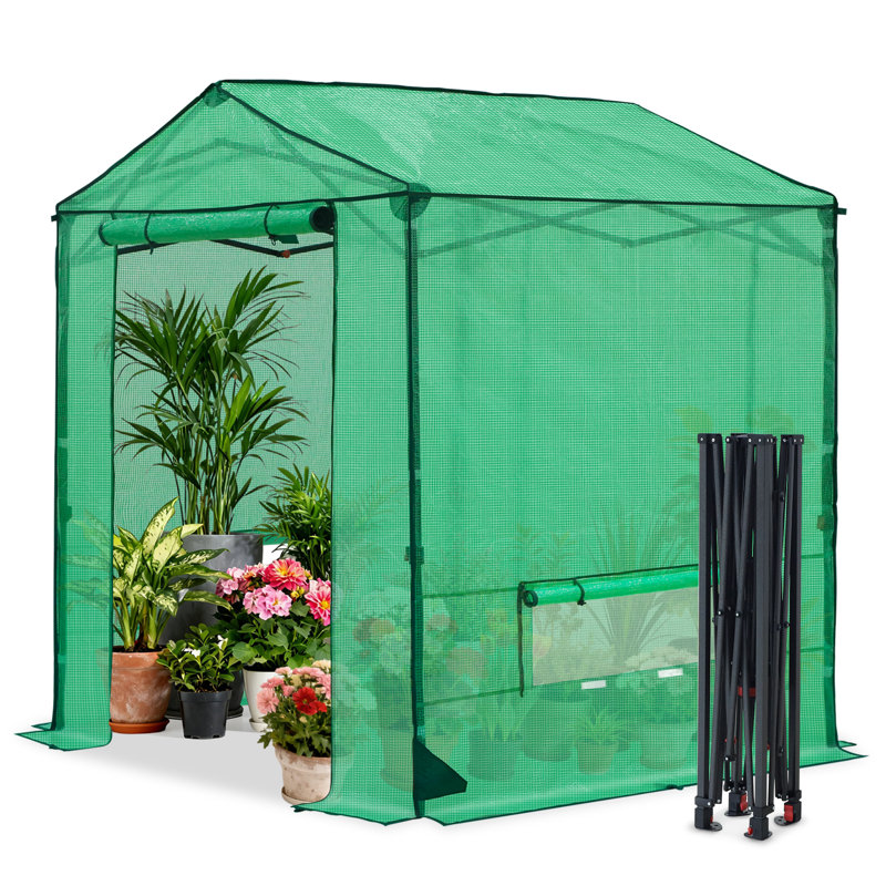 6x6 Walk-In Greenhouse, Outdoor Garden Portable Pop Up Greenhouse, 7.3' H x 6' W x 6' D