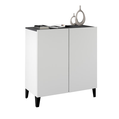 Ryung 2 -Door 1 -Shelf Storage Cabinet