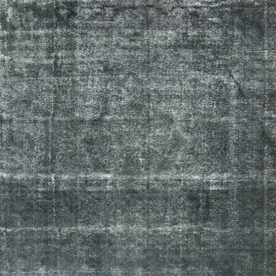 Oriental Indoor Rug