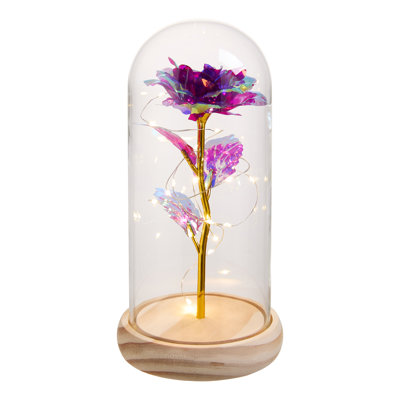 Cloche Or Water Globe