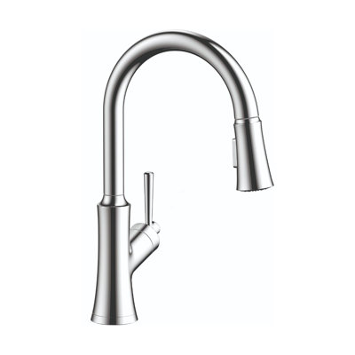 Joleena Pull Down Single Handle Kitchen Faucet