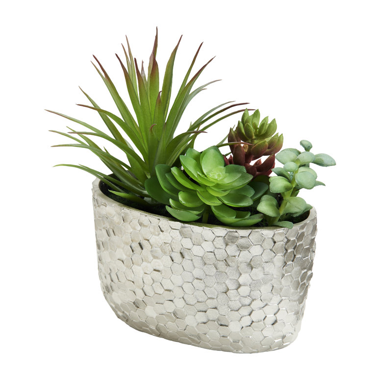 Assortiment de plantes grasses dans un pot argenté