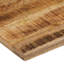 vidaXL Table Top Live Edge Solid Wood Rough Mango-102731087