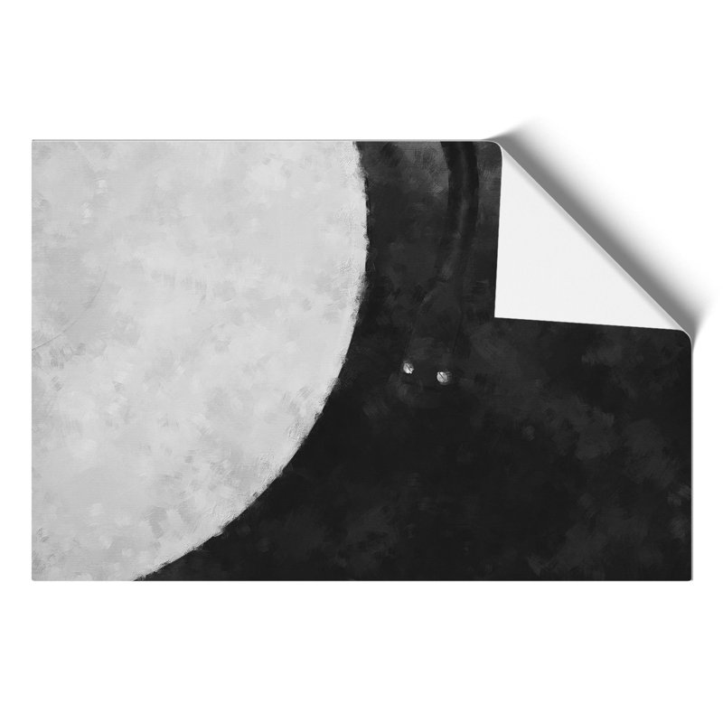 Needle On Vinyl In Black And White - No Frame Print, 30cm H x 42cm W x 0.1cm D