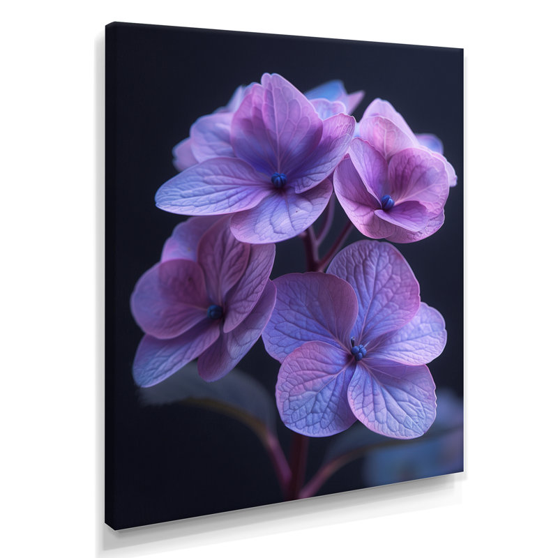 Beauté éthérée, hortensia bleu mauve, photo II - art mural hortensia, Toile tendue, H 16 po x l 32 po