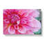Pink Flower In Blossom - Wrapped Canvas-61838697