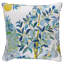 Citrus Garden Pillow