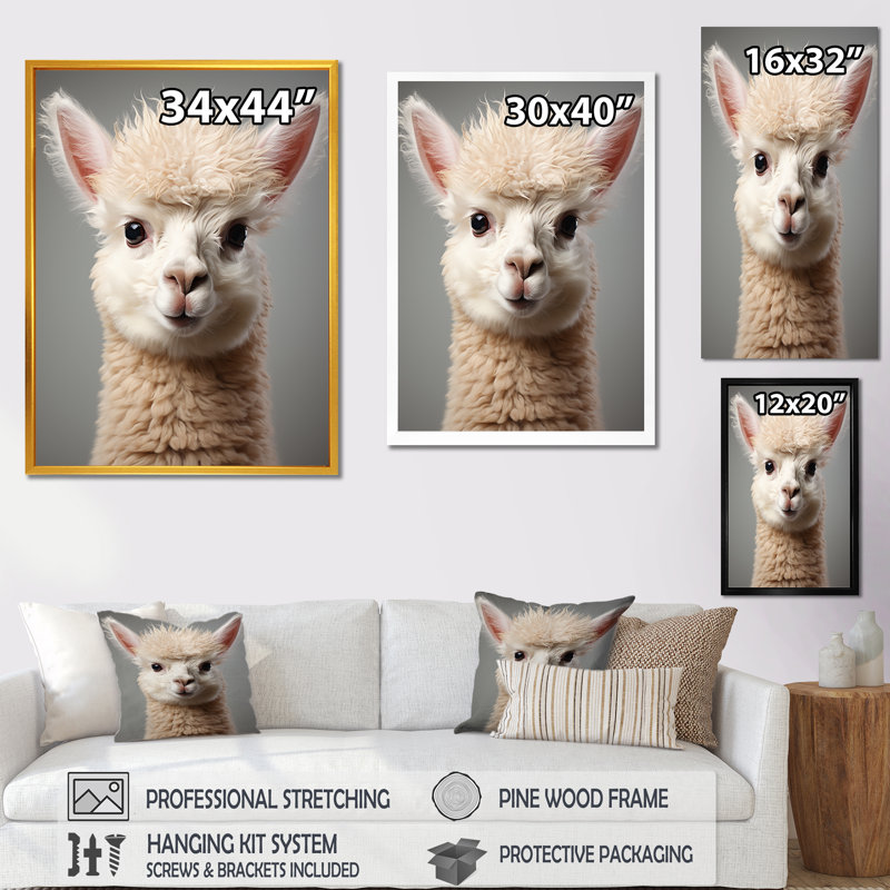 Blanc alpaga majestueux - art mural Alpaca, Cadre simple noir, H 44 po x l 34 po x P 1,5 po