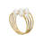 Napkin Ring Collection Napkin Ring