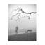 Art sur toile "ologa ", Anna-109321740