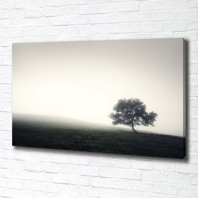 Lone Tree - No Frame Print on Canvas