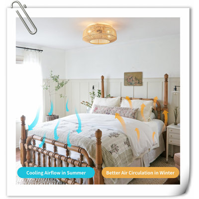 Museau Ceiling Fan with LED Lights