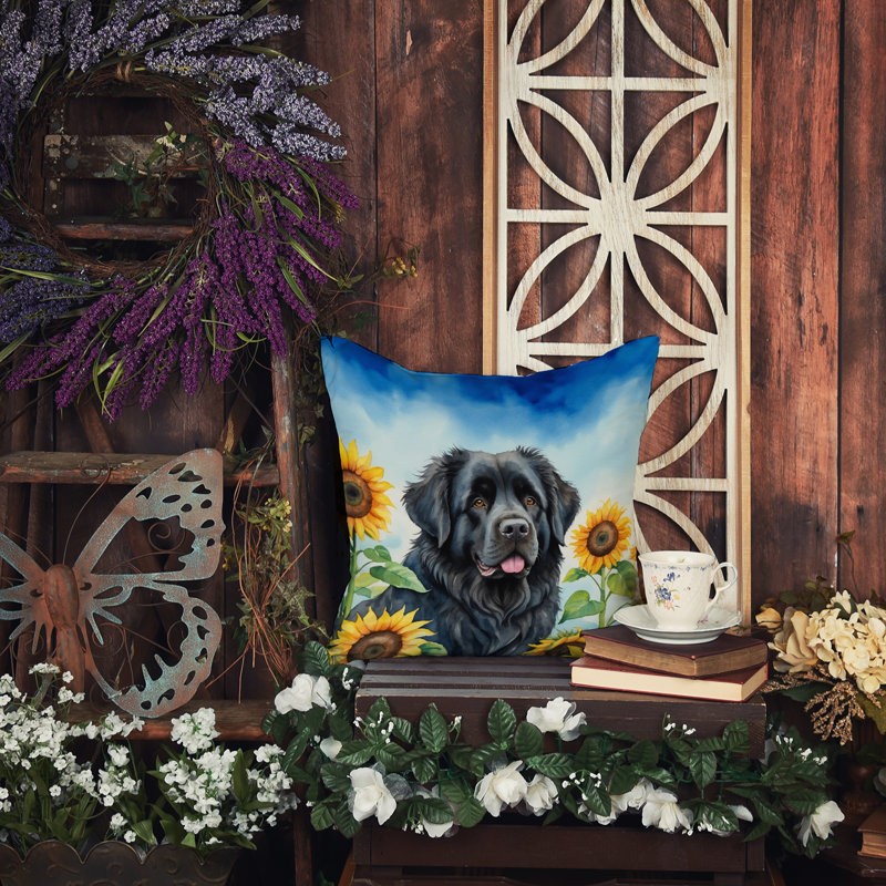 Other/No Pattern Outdoor Throw Pillow, 14" H x 14" W