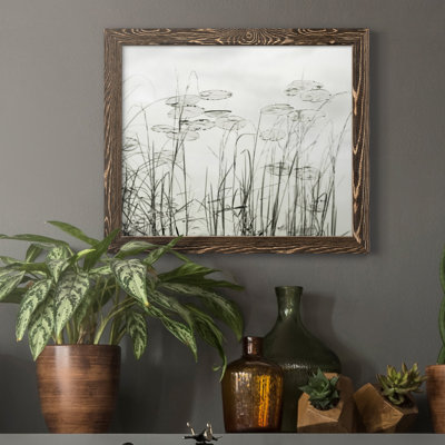 " Lake Lilies "