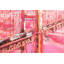 Brooklyn Bridge - 2 Piece Floater Frame Painting on Canvas