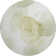 Premium Machine Washable Cerrito AMF544 Green Rug