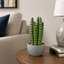 Plante grasse artificielle 10,5 po en pot