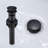 Centerset Bathroom Vanity Faucet With Drain Assembly-71545774