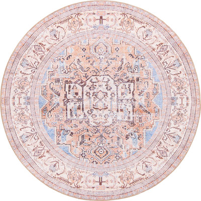 Mcclamma Chenille Oriental Indoor Rug
