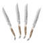 4 Piece Steak Knife Set