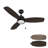 Laylagrace 52'' Ceiling Fan with LED Lights