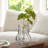 Jhonathon 7" Textured Clear Glass Table Vase-1671581206-1672266903
