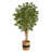 72'' Faux Maple Tree in Burlap, Cotton Planter