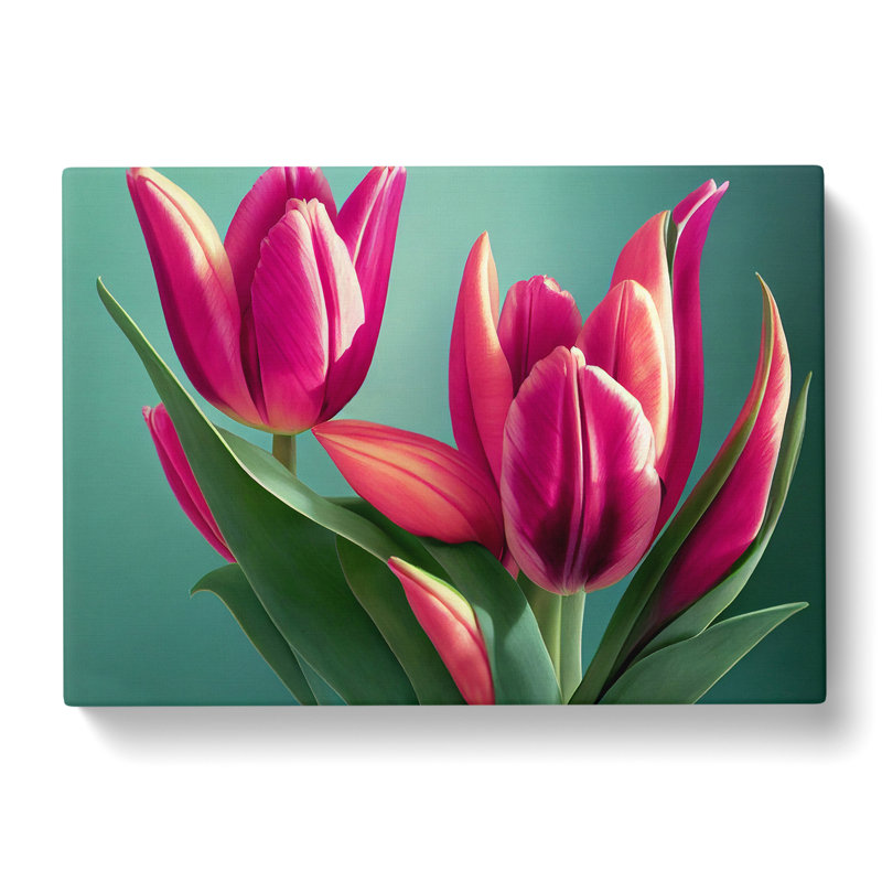 Picturesque Tulip Flowers - Wrapped Canvas, 50cm H x 76cm W x 3cm D