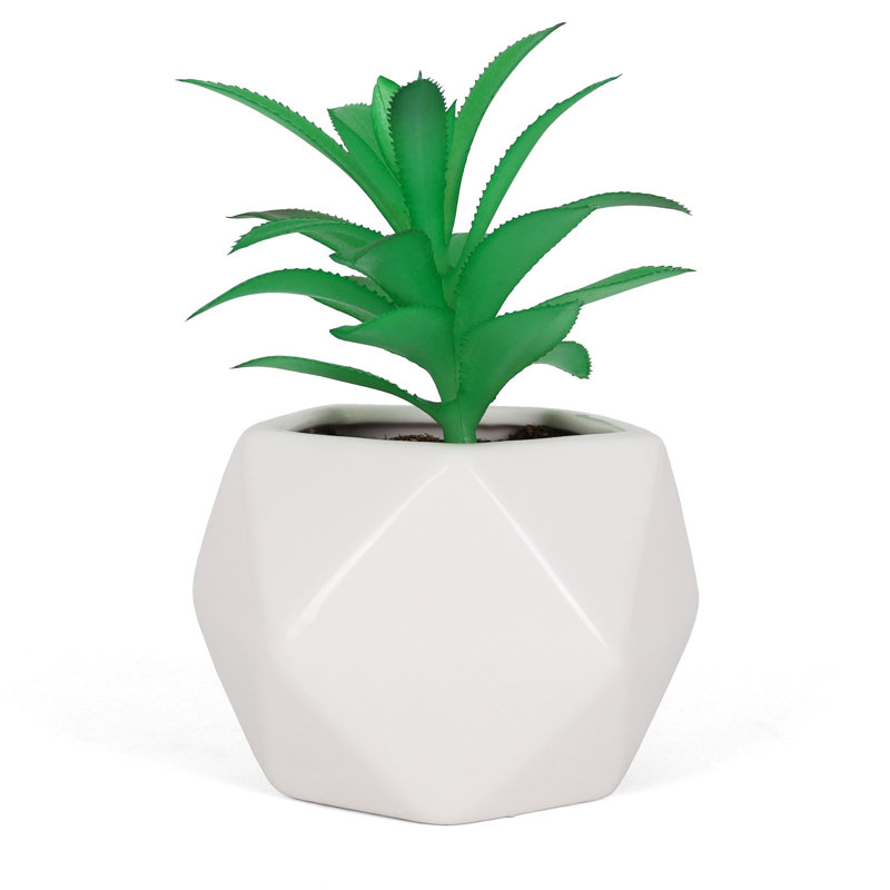 Plante grasse artificielle 5,5 "dans un vase décoratif Dyckia Platyphylla