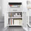 55cm Wide File Cabinet-1592125265
