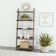 Browdy Ladder Bookcase