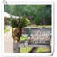Vase mural Kalesia-275411955