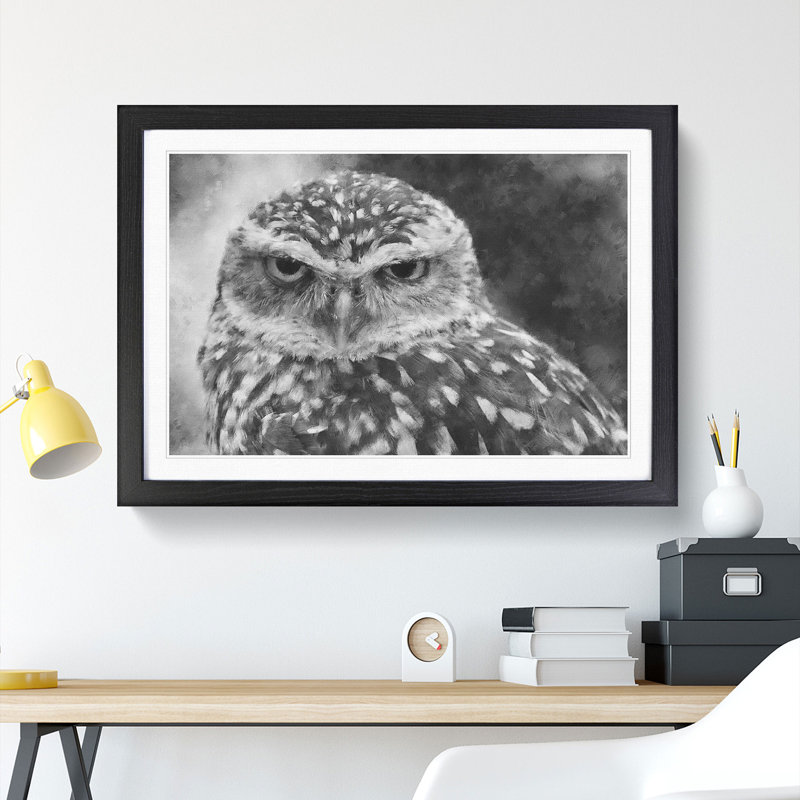 Little Owl - Picture Frame Graphic Art Print, Black Framed, 24cm H x 33cm W x 2cm D