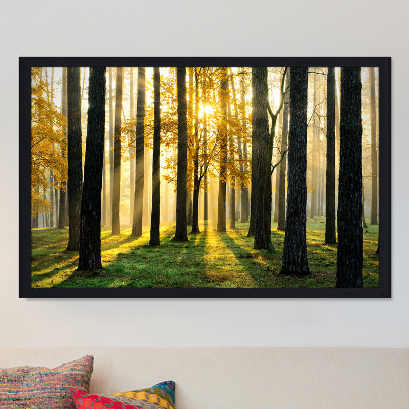 « many paths », reproduction de photo encadrée, H 35,5 po x l 51,5 po x P 0,75 po